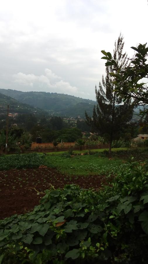 White Horse Inn Kabale Ngoại thất bức ảnh